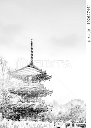 京都大山崎の冬の寶積寺の三重塔 102697444