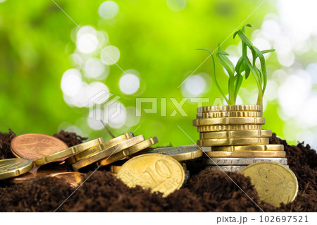 Euro coins and plant sprouts, financial growth concept Euro coins and plant sprouts, financial growth concept 102697521
