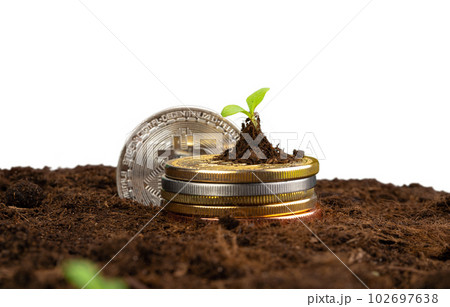 Sprout plant and bitcoin, growth of bitcoin crypto currency 102697638