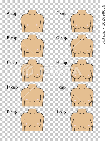 bust cup size side tan - Stock Illustration [102698015] - PIXTA