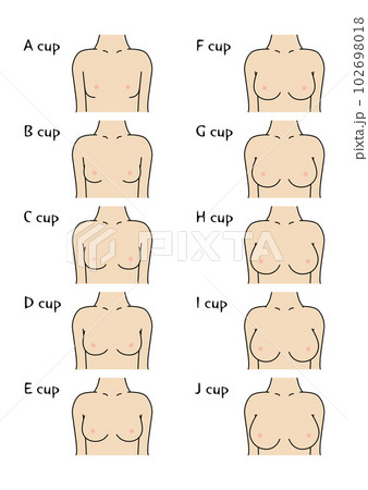 バストカップサイズ正面 102698018