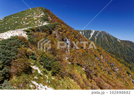 中央アルプス・主稜線縦走路から見る紅葉の島田娘と伊那前岳 中央アルプス・主稜線縦走路から見る紅葉の島田娘と伊那前岳 102698682