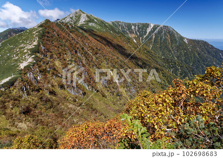 濁沢大峰付近から見る秋色の中央アルプス・主稜線 濁沢大峰付近から見る秋色の中央アルプス・主稜線 102698683