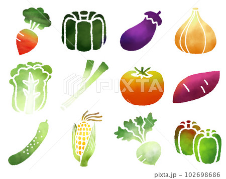 野菜の素材セットC 水彩 野菜の素材セットC 水彩 102698686