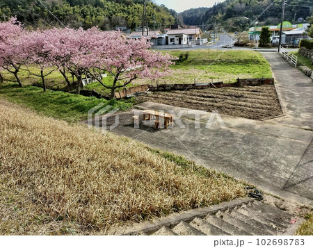 休息コーナーの有る花見の名所 102698783