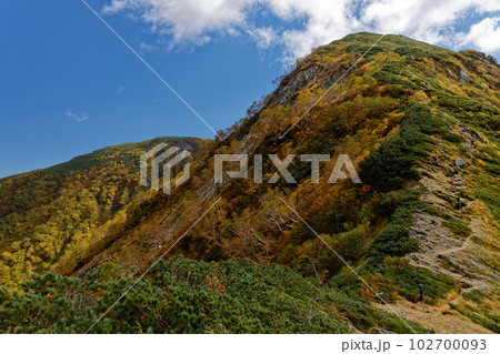 中央アルプス・濁沢大峰の紅葉と檜尾岳 中央アルプス・濁沢大峰の紅葉と檜尾岳 102700093