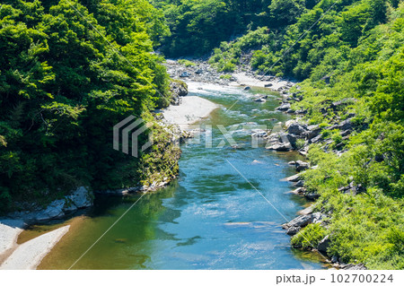 吉野川（上流） 102700224