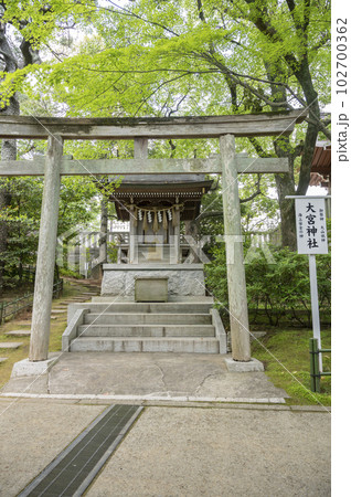 稲毛浅間神社境内社、大宮神社 稲毛浅間神社境内社、大宮神社 102700362