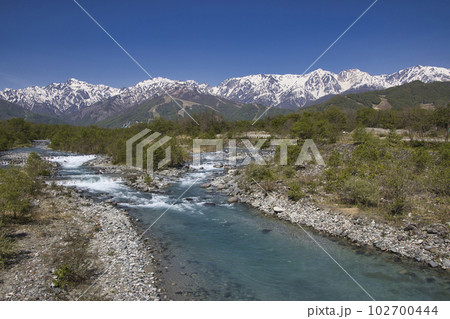 残雪の白馬連山と松川の清流　長野県白馬村 102700444