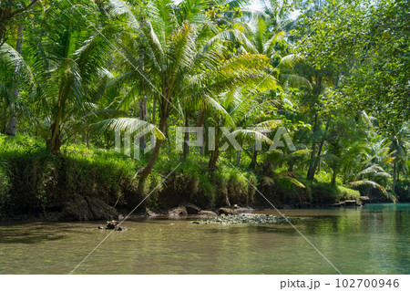 Cruising on the beautiful and calm river with trees at Kali Cokel, Pacitan, Indonesia. 102700946