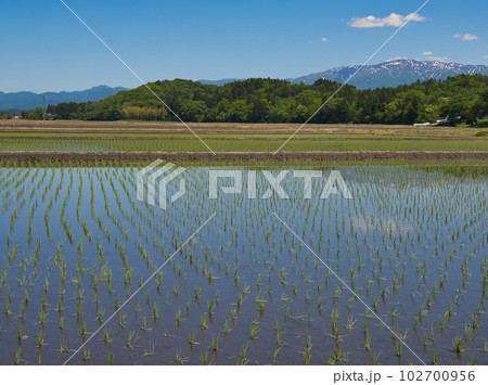 田植えの終わった里山の風景 102700956