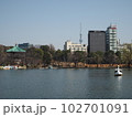 不忍池　スカイツリーと池に浮かぶボート 102701091