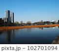 上野　晴れた日の不忍池 102701094
