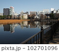 上野　不忍池 102701096