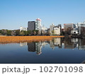 晴れた日の上野　不忍池 102701098