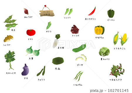 旬の野菜（八月）　　かわいいイラストセット 102701145