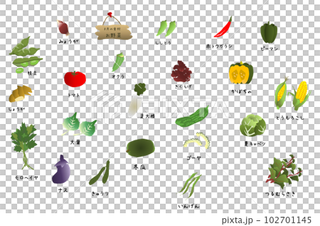 時令蔬菜（八月）可愛插畫集 102701145