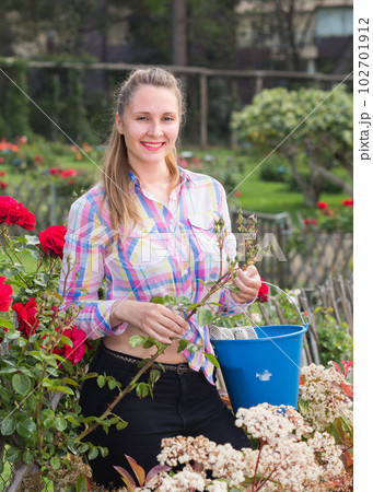 young woman holding a basket and standing in the park of roses young woman holding a basket and standing in the park of roses 102701912
