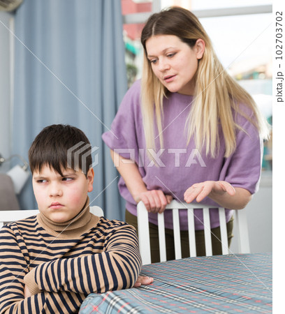 Mother and offended son arguing in domestic interior 102703702