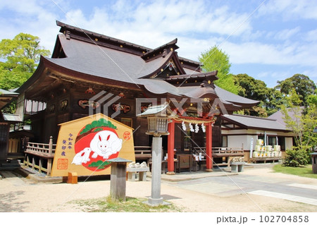 大洗磯前神社　拝殿 102704858