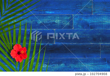 コバルトブルーの木製デッキと、トロピカルな花と葉の背景 102704908