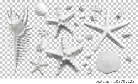 Pure white shellfish, starfish, coral, marine & beach materials that color summer! 102705122