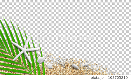 白色海星和貝殼和棕櫚葉，海灘圖像切口背景 102705210