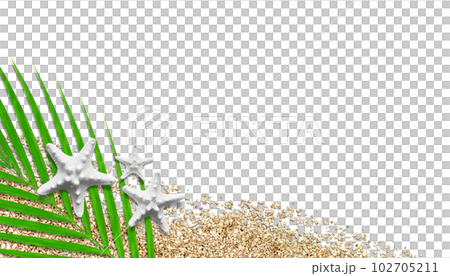 白色海星和沙珊瑚和棕櫚葉，海灘圖像切口背景 102705211