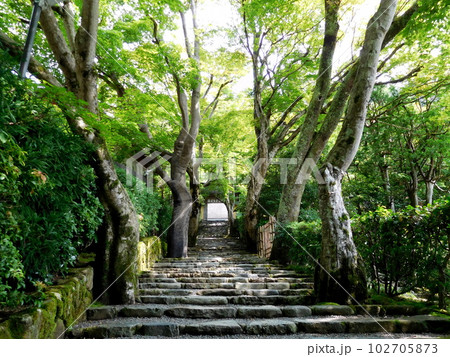 京都 大原 寂光院の階段 京都 大原 寂光院の階段 102705873