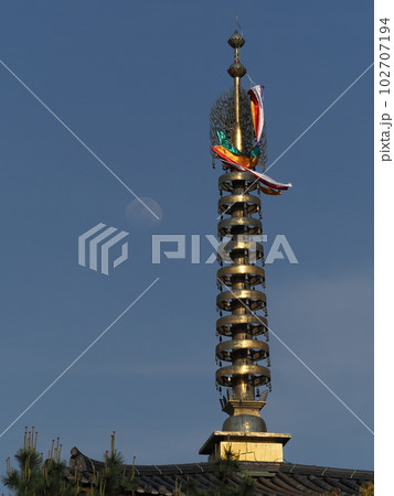 薬師寺の水煙、さっかん、竜車、宝珠、九輪と月 102707194