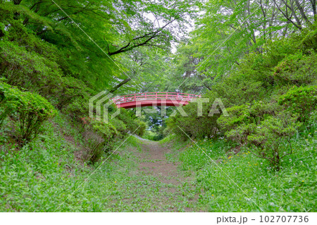 春日城址公園　伊那市 102707736