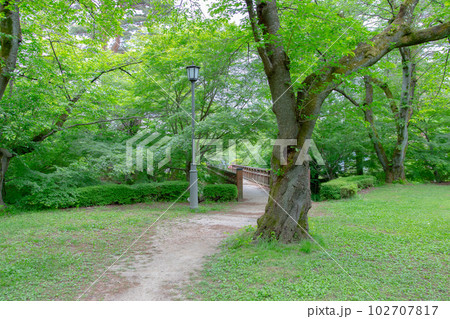 春日城址公園 伊那市 春日城址公園 伊那市 102707817