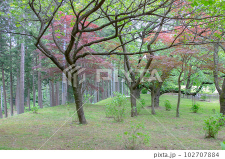 春日城址公園 伊那市 春日城址公園 伊那市 102707884