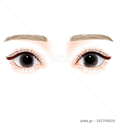 ふたえの瞳 102708020