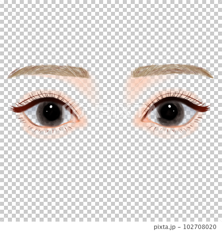 ふたえの瞳 102708020