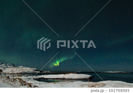 Aurora Borealis in Arctic Norway 102708085