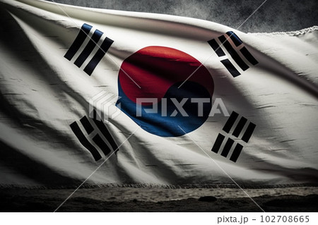 韓国の国旗のイメージ：AI生成画像 102708665