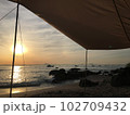 東京湾の日の出① 102709432