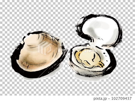 Japanese style hand-drawn illustration of clams Japanese style hand-drawn illustration of clams 102709437