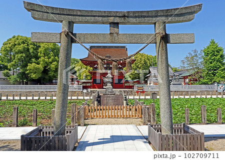 伊賀八幡宮(岡崎) 伊賀八幡宮(岡崎) 102709711