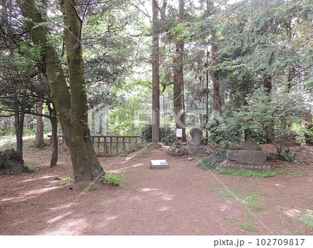 箕輪城跡　御前曲輪西虎口門跡 102709817