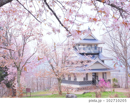 北海道の絶景 キトウシ森林公園 展望閣とエゾヤマザクラ 102710205