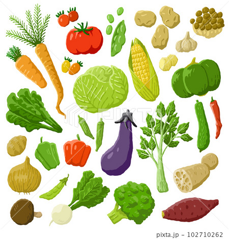 野菜セット	 102710262
