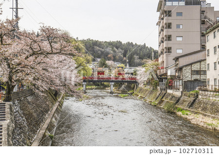 春の高山祭（2023年） 102710311