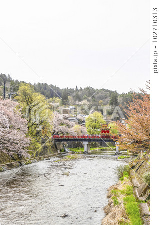 春の高山祭（2023年） 102710313
