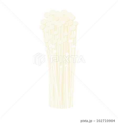 えのきのベクターイラスト。 102710984