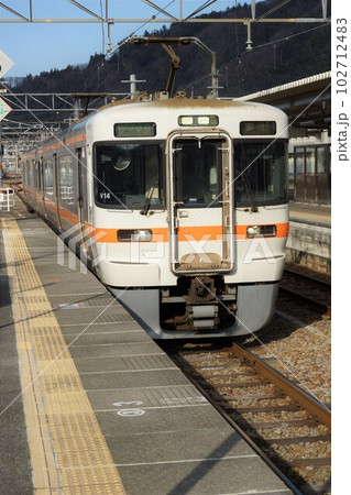 身延線からの車窓風景　313系（身延駅） 102712483