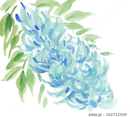 水彩で描いたヒスイカズラ23514pix7 102712500