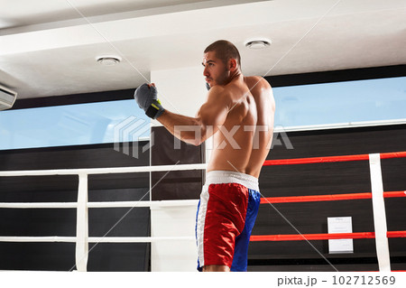 Boxer in blue gloves warming up in the gym 102712569