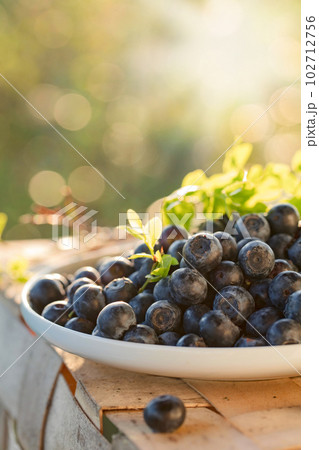 Ripe and juicy fresh picked blueberries closeup. Ripe and juicy fresh picked blueberries closeup. 102712756